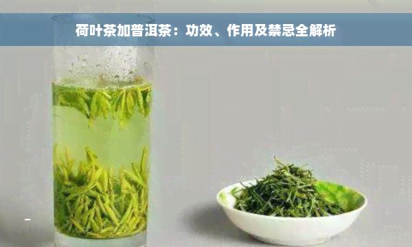 荷叶茶加普洱茶：功效、作用及禁忌全解析