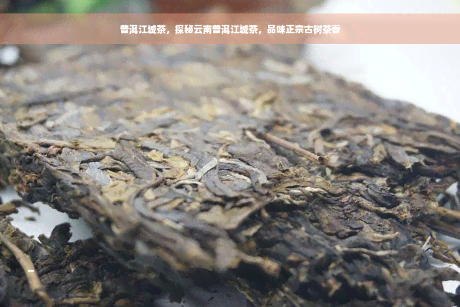 普洱江城茶，探秘云南普洱江城茶，品味正宗古树茶香