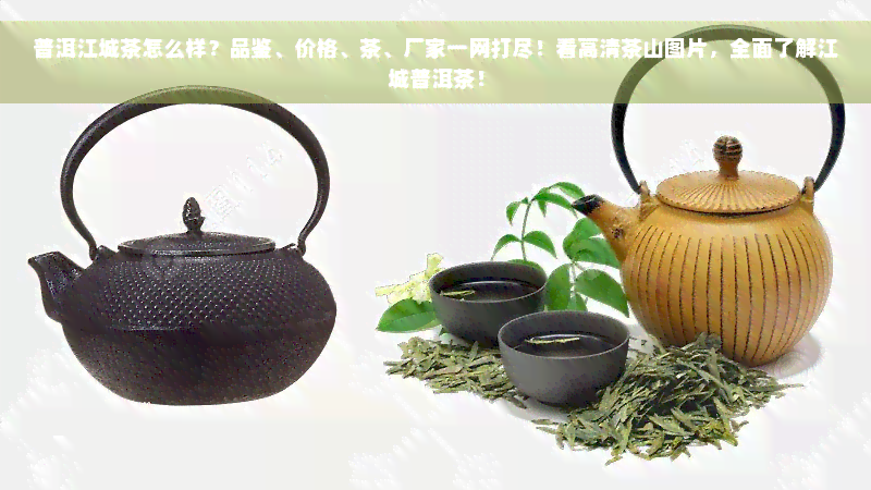 普洱江城茶怎么样？品鉴、价格、茶、厂家一网打尽！看高清茶山图片，全面了解江城普洱茶！