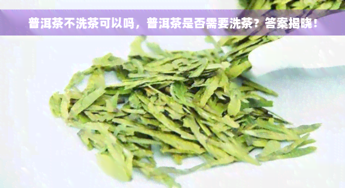 普洱茶不洗茶可以吗，普洱茶是否需要洗茶？答案揭晓！