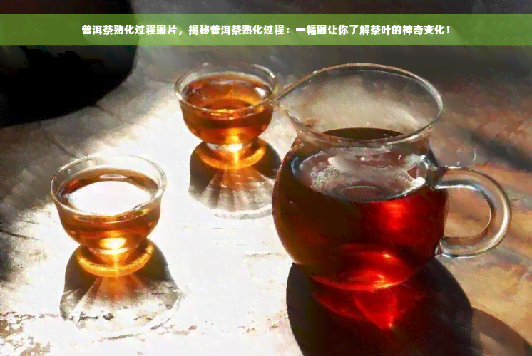 普洱茶熟化过程图片，揭秘普洱茶熟化过程：一幅图让你了解茶叶的神奇变化！