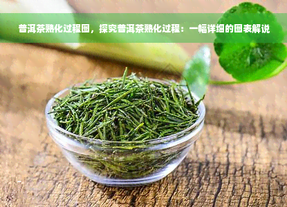 普洱茶熟化过程图，探究普洱茶熟化过程：一幅详细的图表解说