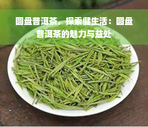 圆盘普洱茶，探索健生活：圆盘普洱茶的魅力与益处