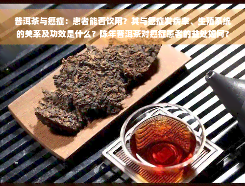 普洱茶与癌症：患者能否饮用？其与癌症发病率、生殖系统的关系及功效是什么？陈年普洱茶对癌症患者的益处如何？