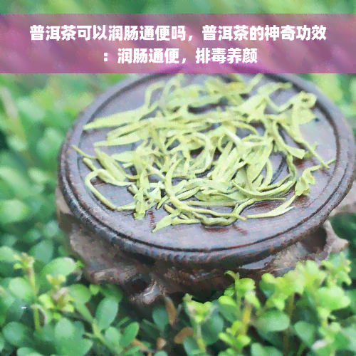 普洱茶可以润肠通便吗，普洱茶的神奇功效：润肠通便，排毒养颜