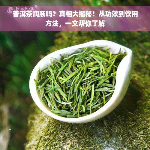 普洱茶润肠吗？真相大揭秘！从功效到饮用方法，一文帮你了解