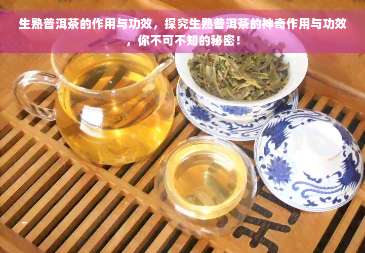 生熟普洱茶的作用与功效，探究生熟普洱茶的神奇作用与功效，你不可不知的秘密！