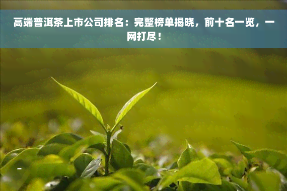 高端普洱茶上市公司排名：完整榜单揭晓，前十名一览，一网打尽！