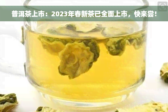 普洱茶上市：2023年春新茶已全面上市，快来尝！