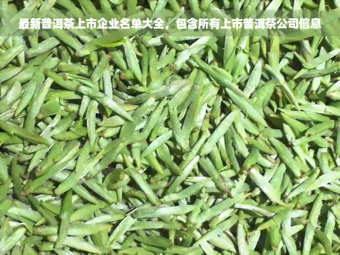 最新普洱茶上市企业名单大全，包含所有上市普洱茶公司信息