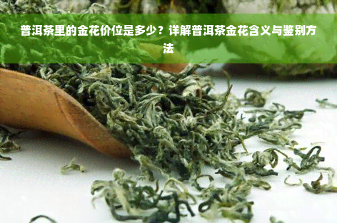 普洱茶里的金花价位是多少？详解普洱茶金花含义与鉴别方法