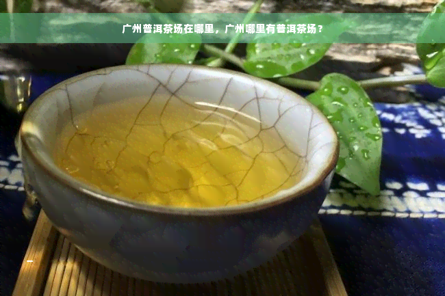 广州普洱茶场在哪里，广州哪里有普洱茶场？