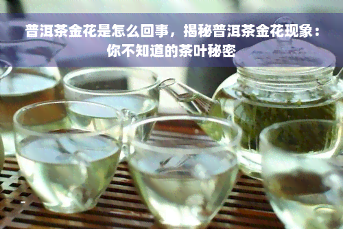 普洱茶金花是怎么回事，揭秘普洱茶金花现象：你不知道的茶叶秘密