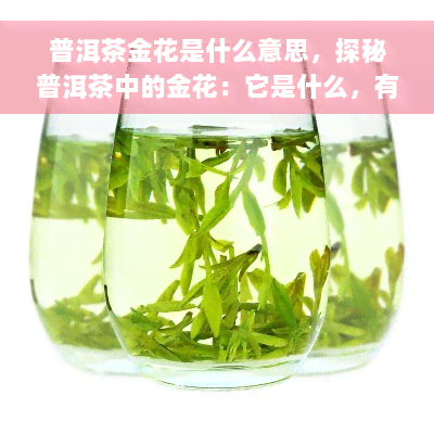 普洱茶金花是什么意思，探秘普洱茶中的金花：它是什么，有何作用？