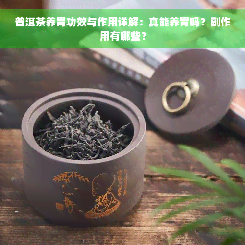 普洱茶养胃功效与作用详解：真能养胃吗？副作用有哪些？