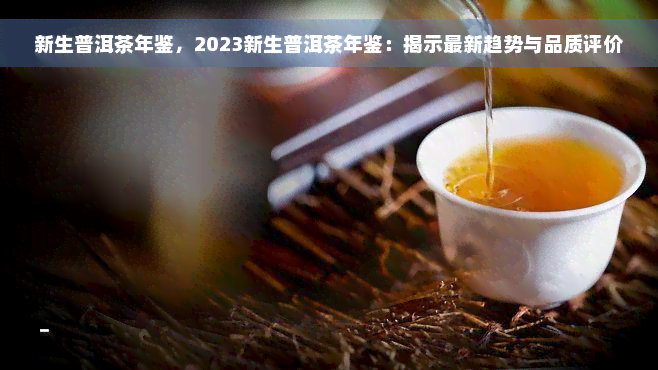 新生普洱茶年鉴，2023新生普洱茶年鉴：揭示最新趋势与品质评价