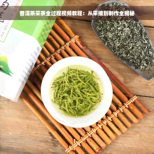 普洱茶采茶全过程视频教程：从采摘到制作全揭秘