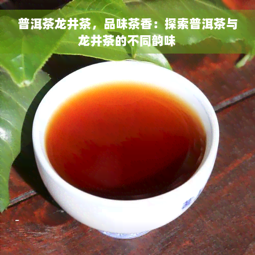 普洱茶龙井茶，品味茶香：探索普洱茶与龙井茶的不同韵味