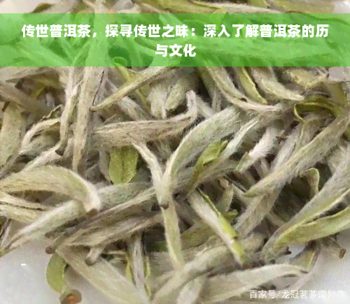 传世普洱茶，探寻传世之味：深入了解普洱茶的历与文化