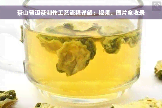 茶山普洱茶制作工艺流程详解：视频、图片全收录