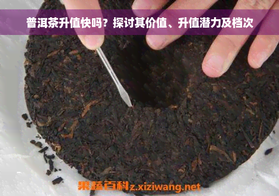 普洱茶升值快吗？探讨其价值、升值潜力及档次