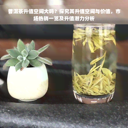 普洱茶升值空间大吗？探究其升值空间与价值，市场热销一览及升值潜力分析