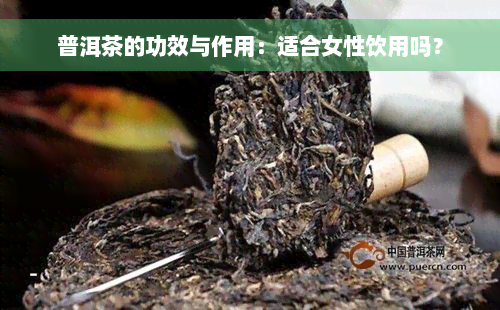 普洱茶的功效与作用：适合女性饮用吗？