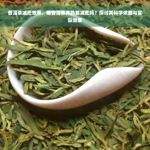 普洱茶减肥效果，喝普洱茶真的能减肥吗？探讨其科学依据与实际效果