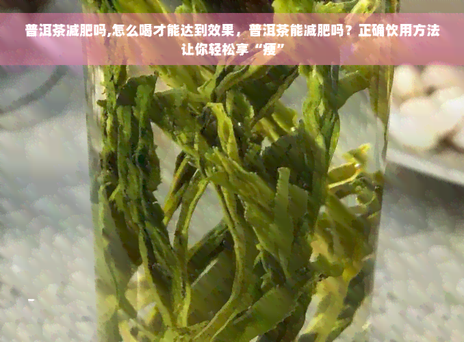 普洱茶减肥吗,怎么喝才能达到效果，普洱茶能减肥吗？正确饮用方法让你轻松享“瘦”