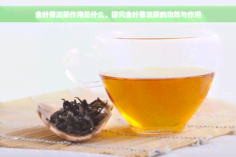 金叶普洱茶作用是什么，探究金叶普洱茶的功效与作用