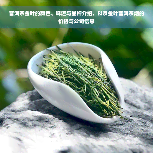 普洱茶金叶的颜色、味道与品种介绍，以及金叶普洱茶烟的价格与公司信息