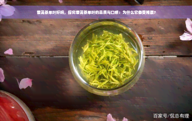 普洱茶单叶好吗，探究普洱茶单叶的品质与口感：为什么它备受推崇？