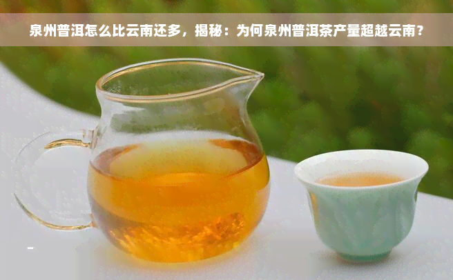 泉州普洱怎么比云南还多，揭秘：为何泉州普洱茶产量超越云南？