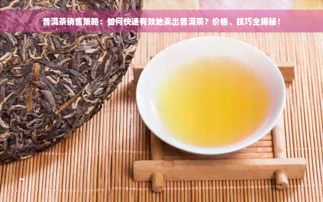 普洱茶销售策略：如何快速有效地卖出普洱茶？价格、技巧全揭秘！