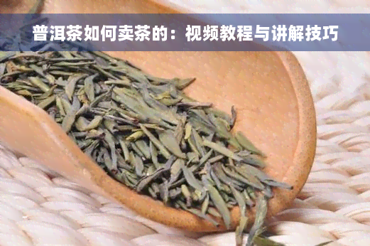 普洱茶如何卖茶的：视频教程与讲解技巧