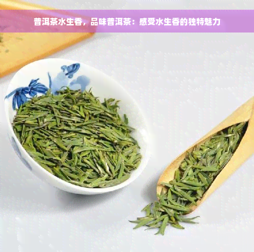 普洱茶水生香，品味普洱茶：感受水生香的独特魅力