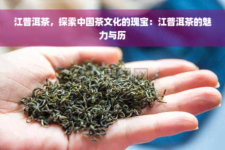 江普洱茶，探索中国茶文化的瑰宝：江普洱茶的魅力与历