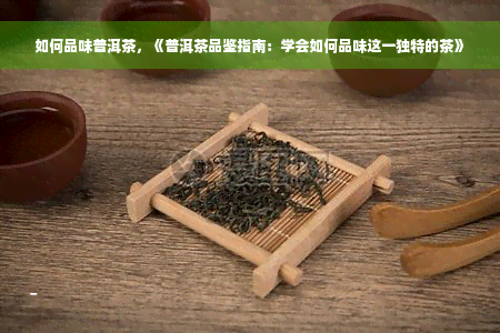 如何品味普洱茶，《普洱茶品鉴指南：学会如何品味这一独特的茶》