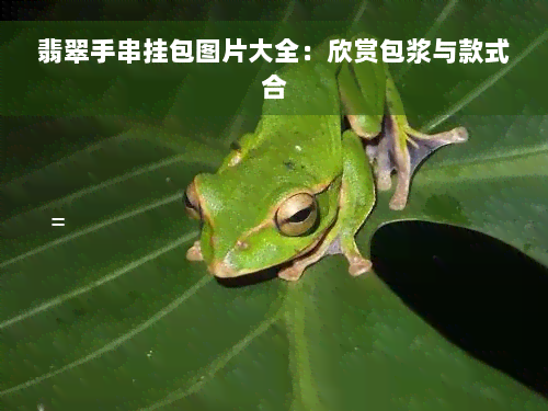 翡翠手串挂包图片大全：欣赏包浆与款式合