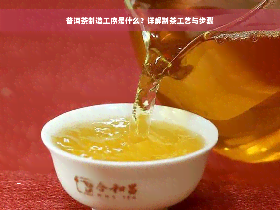 普洱茶制造工序是什么？详解制茶工艺与步骤