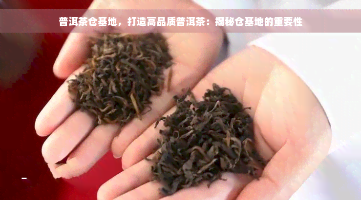 普洱茶仓基地，打造高品质普洱茶：揭秘仓基地的重要性