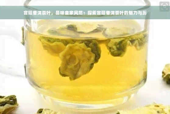 宫廷普洱茶叶，品味皇家风范：探索宫廷普洱茶叶的魅力与历