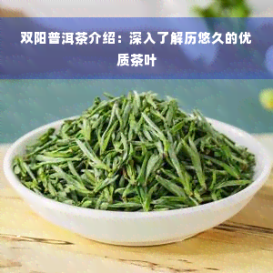 双阳普洱茶介绍：深入了解历悠久的优质茶叶