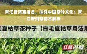 双江普洱茶排名，探究中国茶叶文化：双江普洱茶排名解析