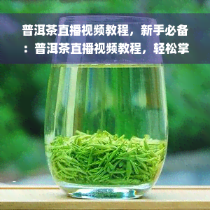 普洱茶直播视频教程，新手必备：普洱茶直播视频教程，轻松掌握茶叶知识与冲泡技巧！