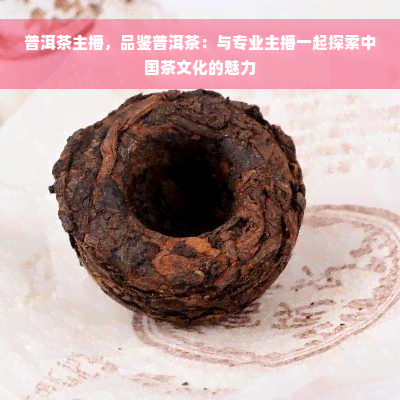 普洱茶主播，品鉴普洱茶：与专业主播一起探索中国茶文化的魅力