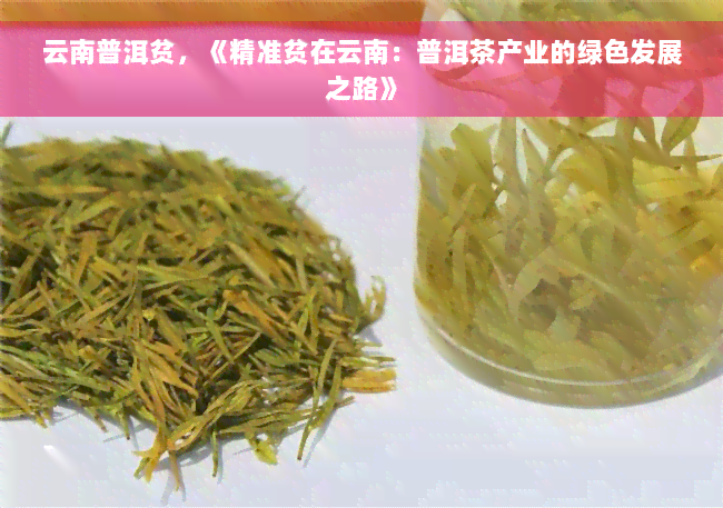 云南普洱贫，《精准贫在云南：普洱茶产业的绿色发展之路》