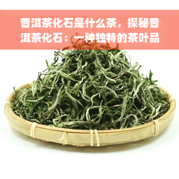 普洱茶化石是什么茶，探秘普洱茶化石：一种独特的茶叶品种