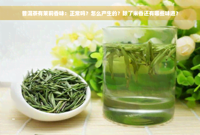 普洱茶有茉莉香味：正常吗？怎么产生的？除了米香还有哪些味道？