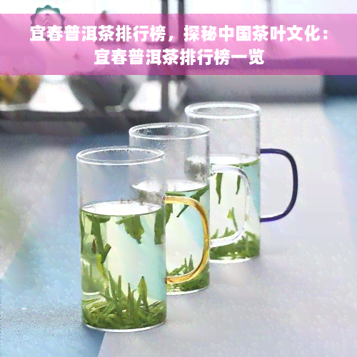 宜春普洱茶排行榜，探秘中国茶叶文化：宜春普洱茶排行榜一览